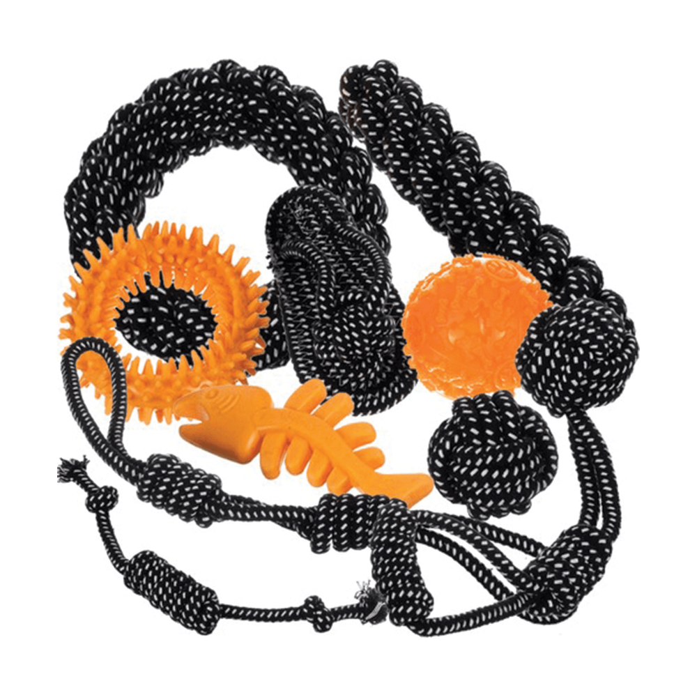 Sada hraček pro psy - 10ks